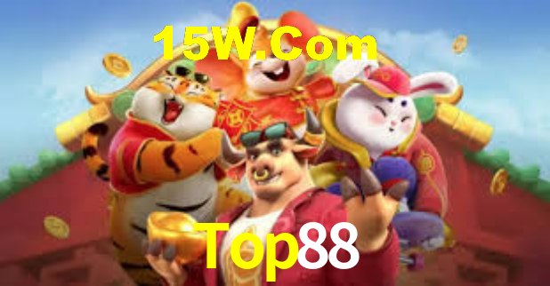 Interface Premium Top88